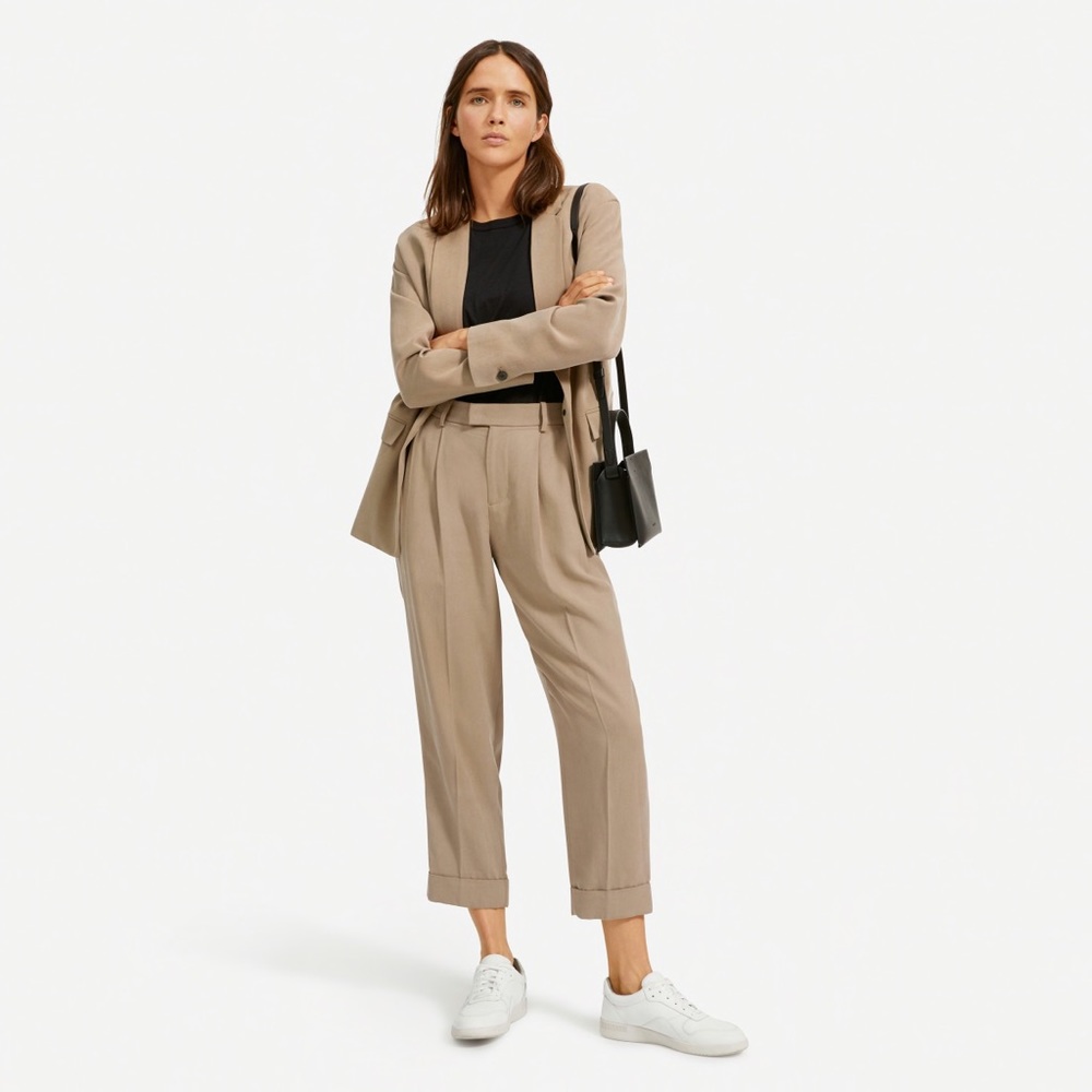 Everlane Put-Together Pleat Pant